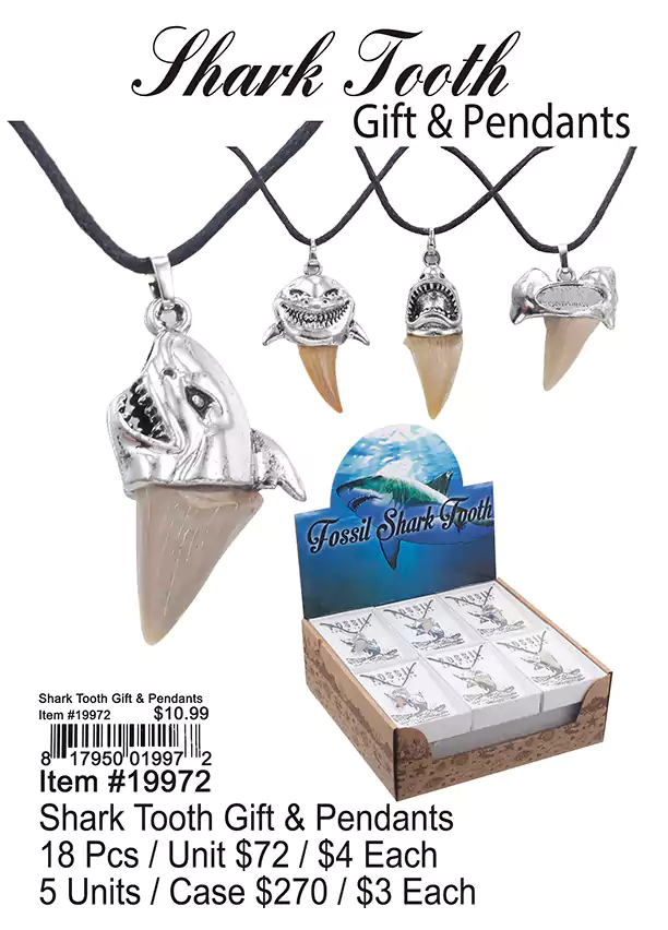 Shark Tooth Gift and Pendants